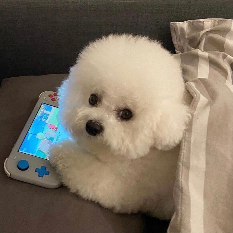 治愈云之羽免费看