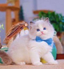 李敏镐豆瓣评分